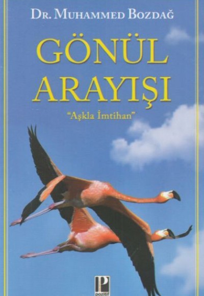 Gönül Arayışı