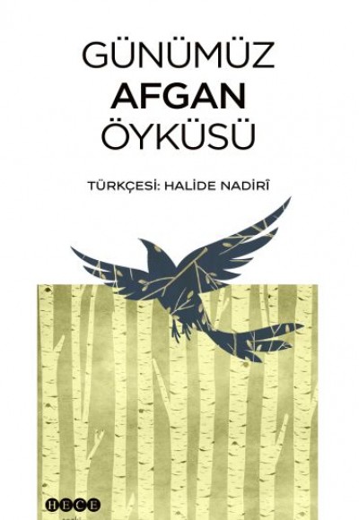 Günümüz Afgan Öyküsü