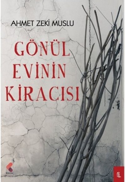 Gönül Evinin Kiracısı