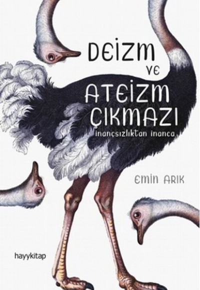 Deizm ve Ateizm Çıkmazı - Herkes İçin Tasavvuf  66