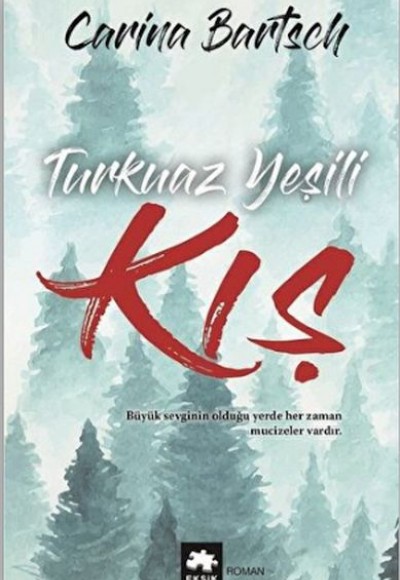 Turkuaz Yeşili Kış