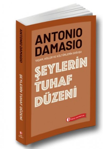 Şeylerin Tuhaf Düzeni