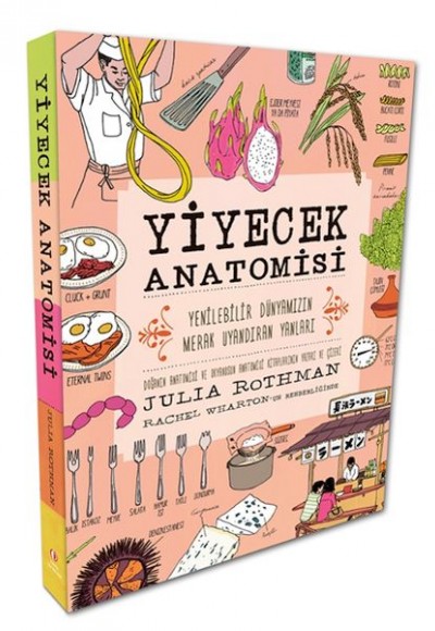 Yiyecek Anatomisi