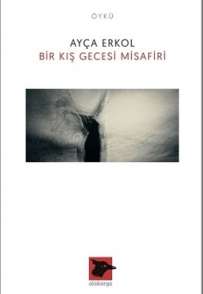 Bir Kış Gecesi Misafiri