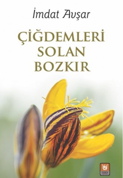 Çiğdemleri Solan Bozkır