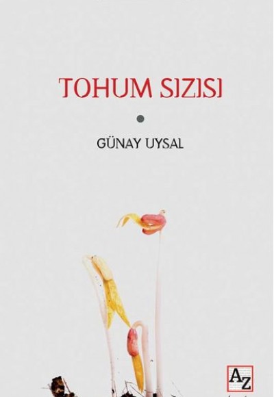 Tohum Sızısı