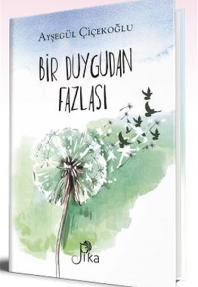 Bir Duygudan Fazlası