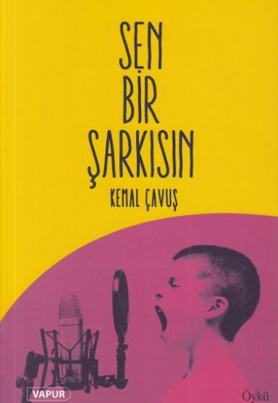 Sen Bir Şarkısın