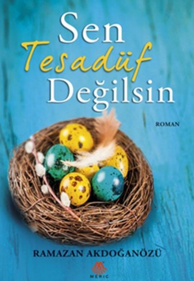 Sen Tesadüf Değilsin