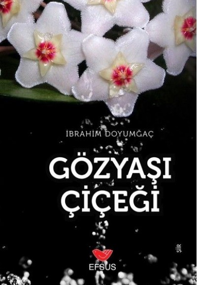 Gözyaşı Çiçeği