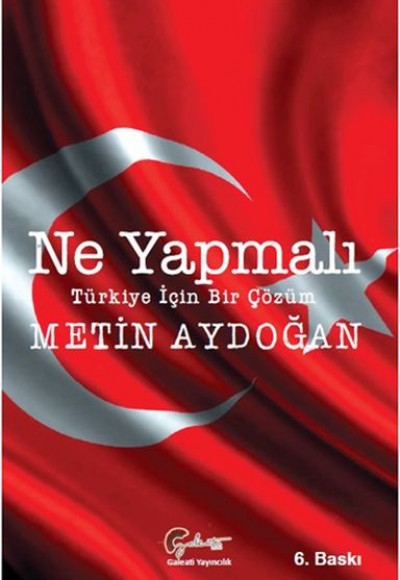 Ne Yapmalı, Türkiye İçin Bir Çözüm