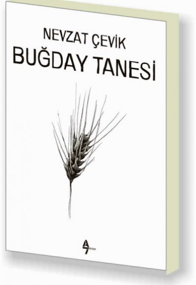 Buğday Tanesi