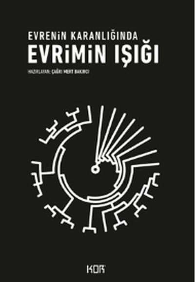 Evrenin Karanlığında Evrimin Işığı