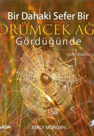 Bir Dahaki Sefer Öğrümcek Ağı Gördüğünde