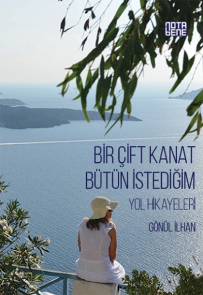 Bir Çift Kanat Bütün İstediğim