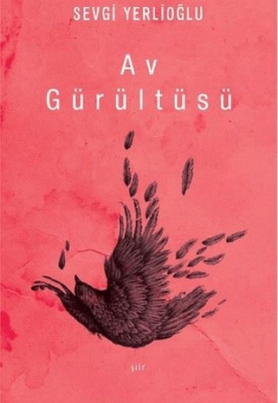 Av Gürültüsü