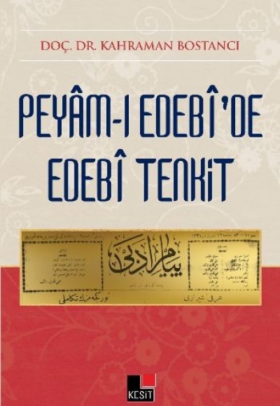 Peyamı Edebide Edebi Tenkit