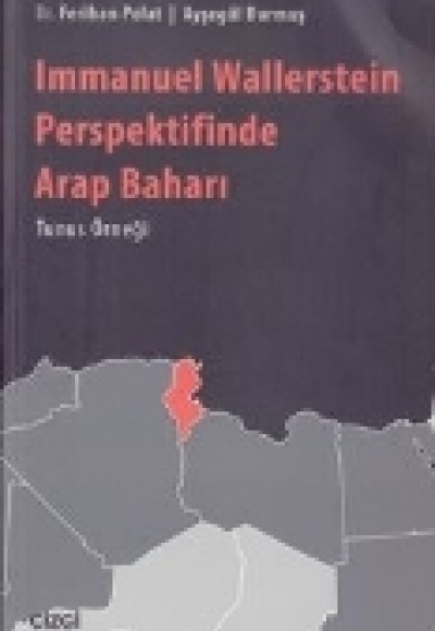Immanuel Wallerstein Perspektifinde Arap Baharı