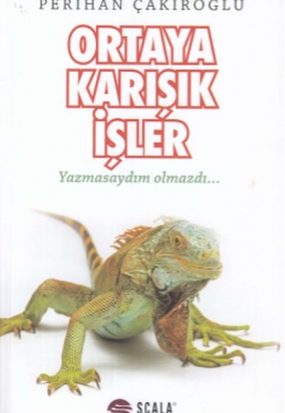 Ortaya Karışık İşler