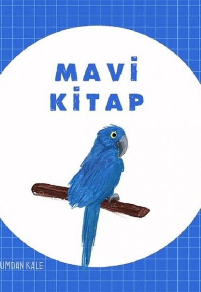 Mavi Kitap