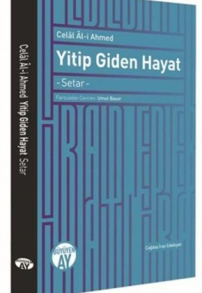 Yitip Giden Hayat