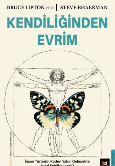 Kendiliğinden Evrim