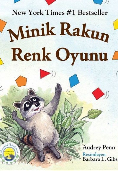 Minik Rakun Renk Oyunu