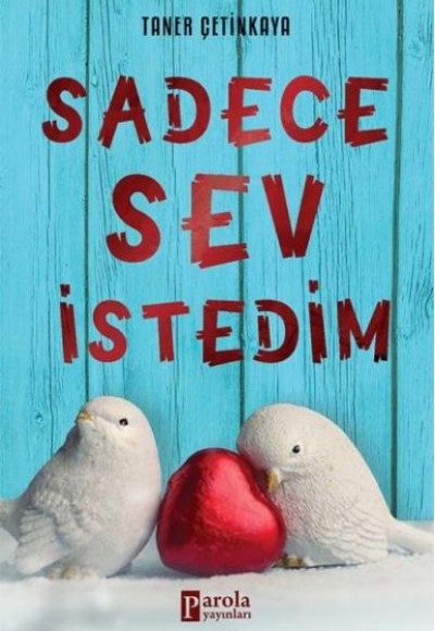 Sadece Sev İstedim