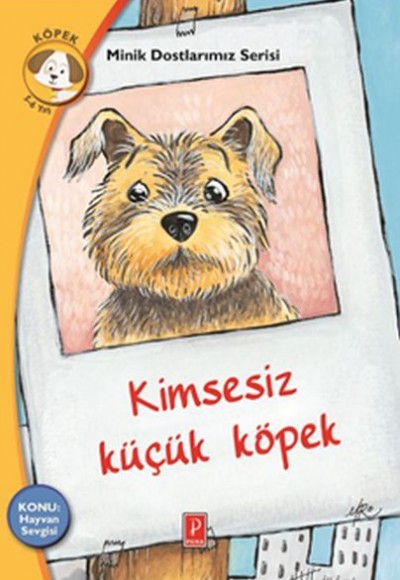 Minik Dostlarımız Serisi - Kimsesiz Küçük Köpek