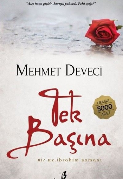 Tek Başına