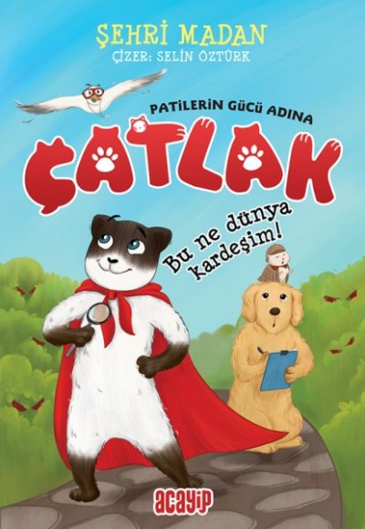 Bu Ne Dünya Kardeşim! - Çatlak - Patilerin Gücü Adına