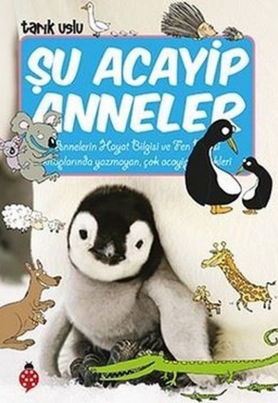 Şu Acayip Anneler