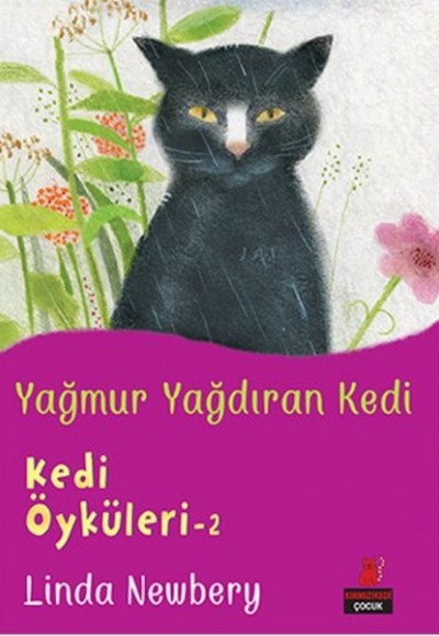 Kedi Öyküleri 2 - Yağmur Yağdıran Kedi