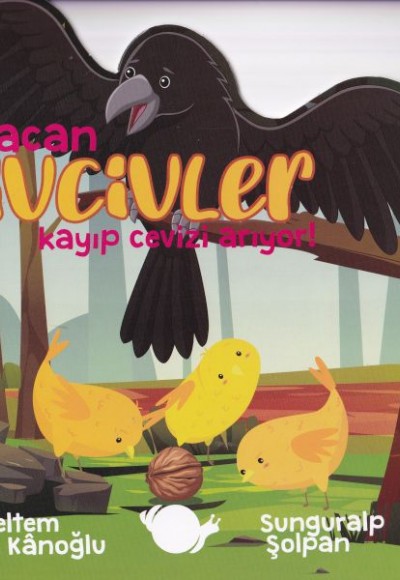 Afacan Civcivler Kayıp Cevizi Arıyor