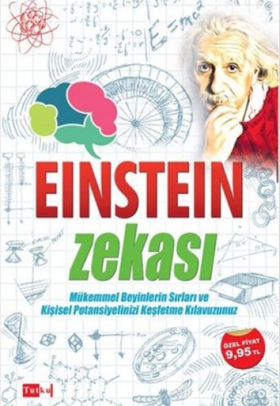 Einstein Zekası