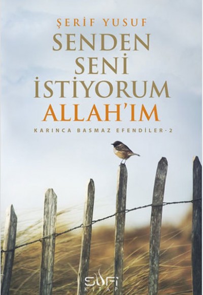 Senden Seni İstiyorum Allah'ım