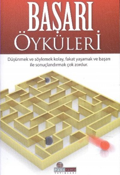 Başarı Öyküleri