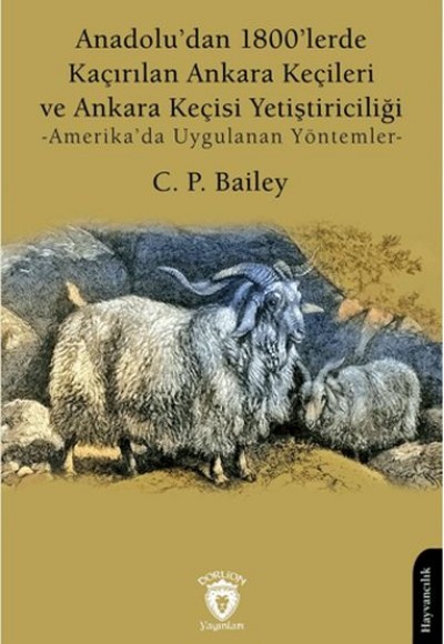 Anadolu’dan 1800’lerde Kaçırılan Ankara Keçileri ve Ankara Keçisi Yetiştiriciliği -Amerika’da Uygula