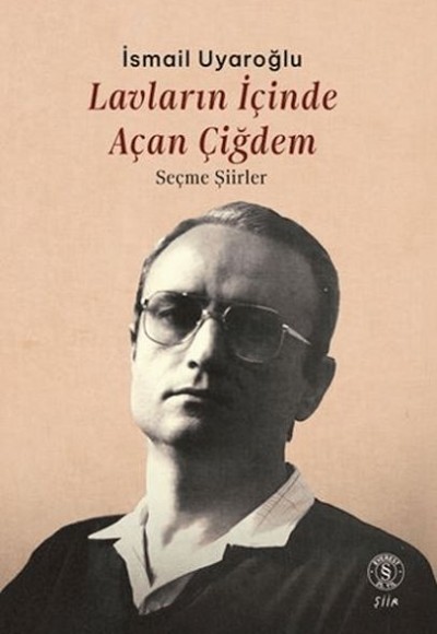 Lavların İçinde Açan Çiğdem