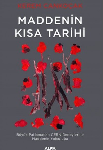 Maddenin Kısa Tarihi