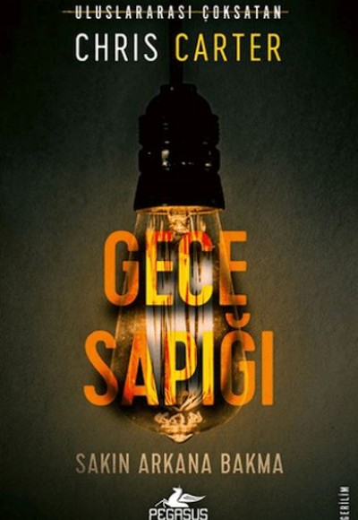 Gece Sapığı (Robert Hunter - 3)