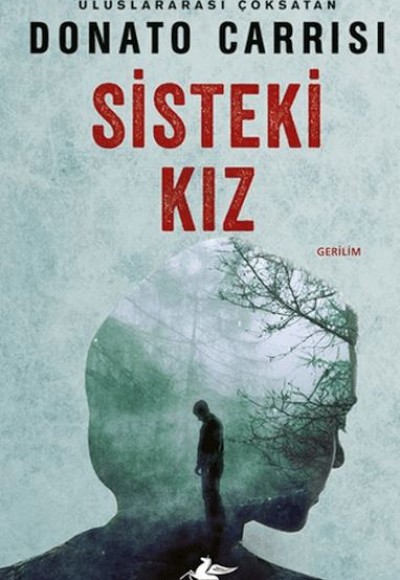 Sisteki Kız