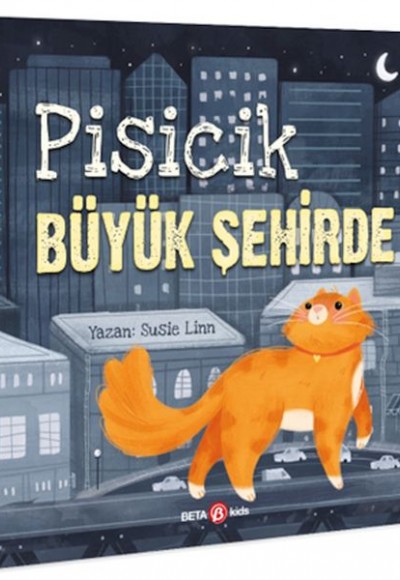 Pisicik Büyük Şehirde