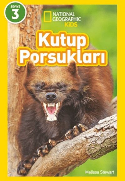 Kutup Porsukları - National Geographic Kids