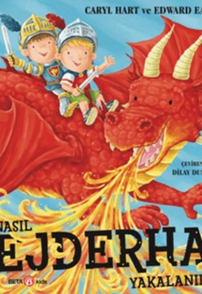 Nasıl Ejderha Yakalanır?