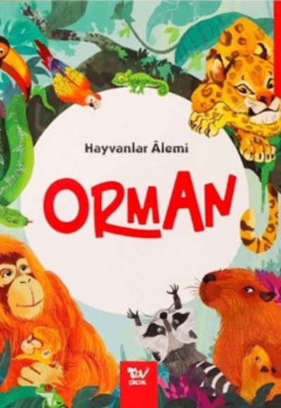 Hareketli Kitap 3d Hayvanlar Alemi Orman