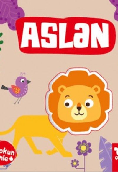 Dokun Dinle Aslan