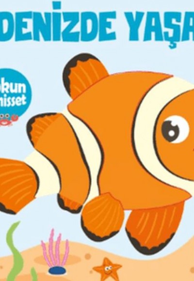 Dokun ve Hisset Denizde Yaşam