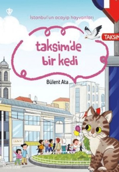 İstanbul'un Acayip Hayvanları Taksimde Bir Kedi