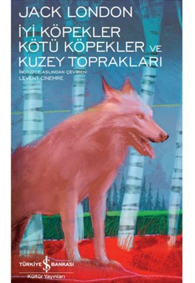 İyi Köpekler Kötü Köpekler ve Kuzey Toprakları - Modern Klasikler Dizisi